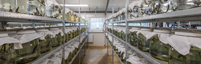 bi zuchtraum regale MG 0275 1684