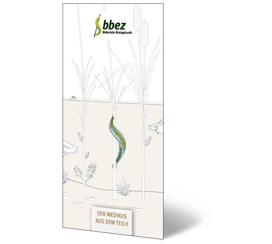 Informative brochure